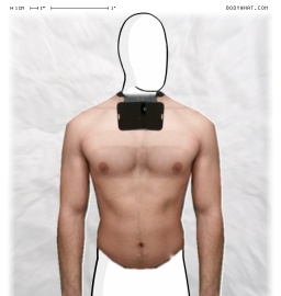 Torso