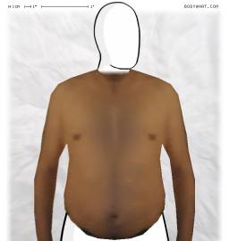 Torso