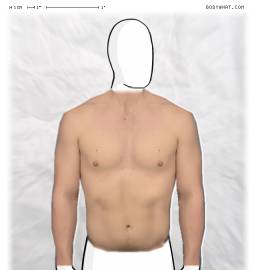 Torso