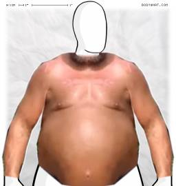 Torso