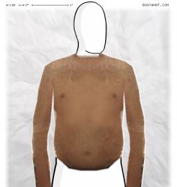 Torso