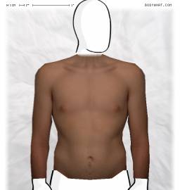 Torso