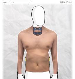 Torso
