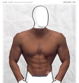 Torso