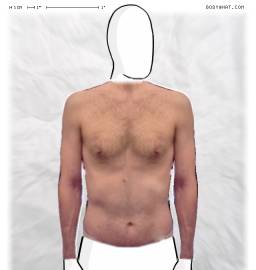 Torso