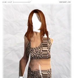 Torso