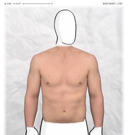 Torso