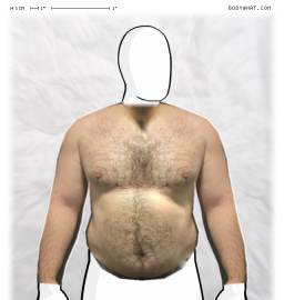 Torso