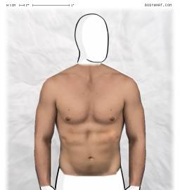 Torso