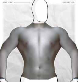 Torso