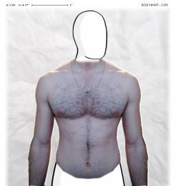 Torso
