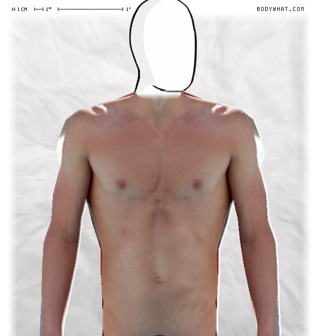 Picture 1