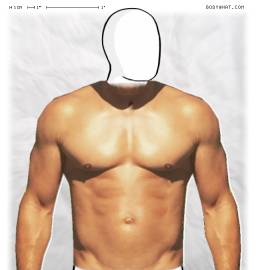 Torso