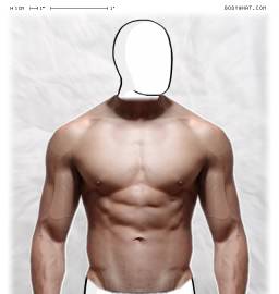 Torso