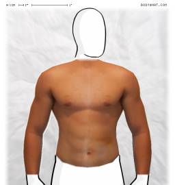 Torso