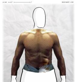 Torso