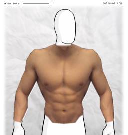 Torso
