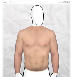 Torso