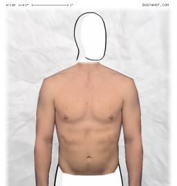 Torso