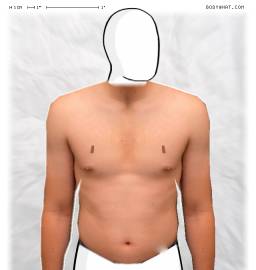 Torso