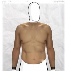 Torso