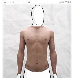 Torso