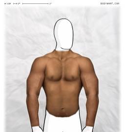 Torso