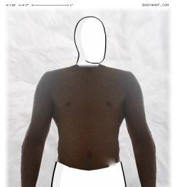 Torso