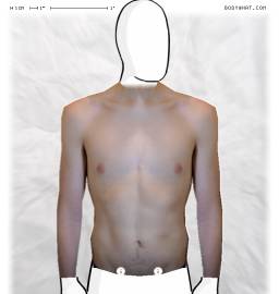 Torso