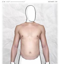 Torso