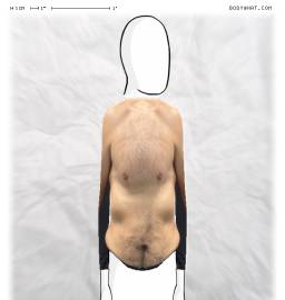 Torso