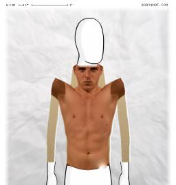 Torso