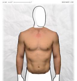 Torso