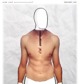 Torso