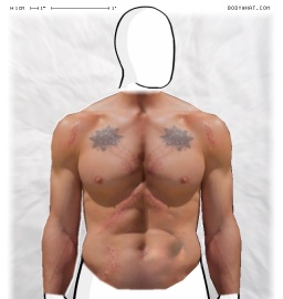 Torso