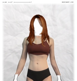 Torso