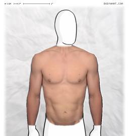 Torso