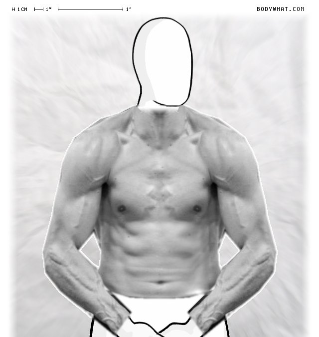Picture 1