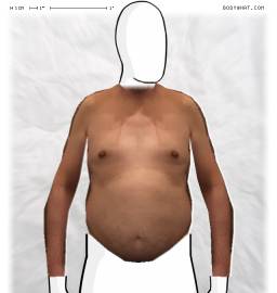 Torso