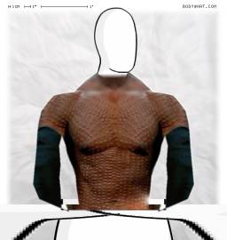 Torso