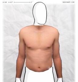 Torso