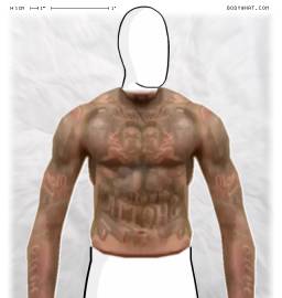 Torso
