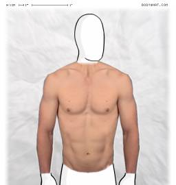 Torso