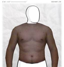 Torso