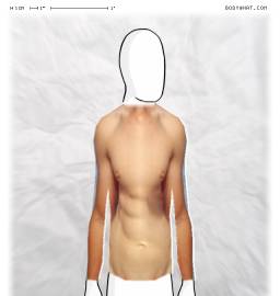 Torso