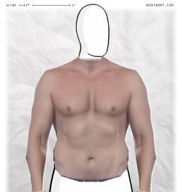 Torso