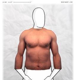 Torso