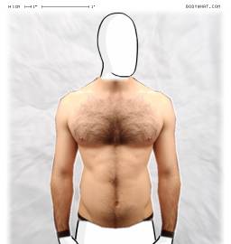 Torso