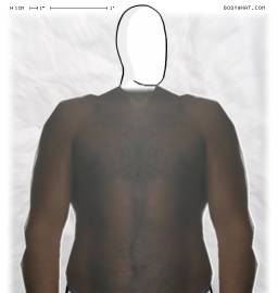 Torso