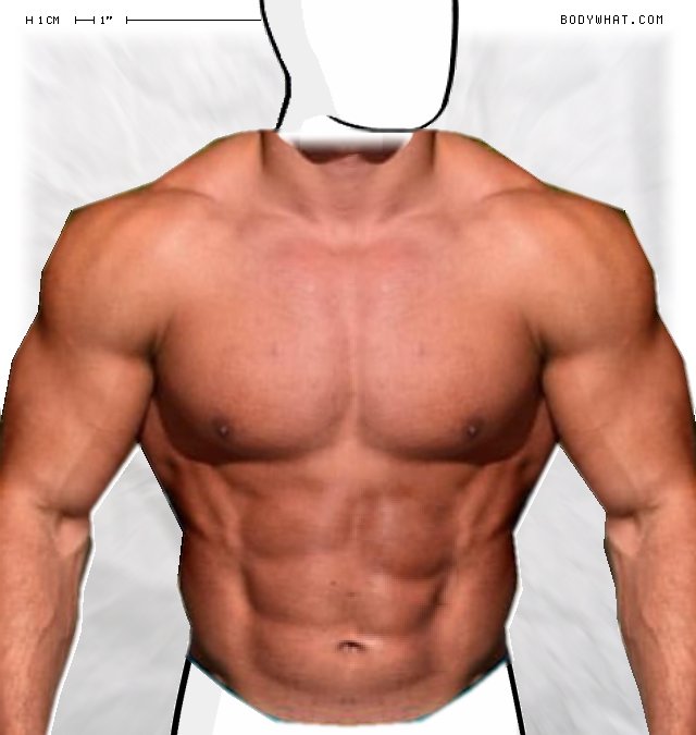 Picture 1